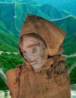 Les Indo-Européens dans la Chine antique